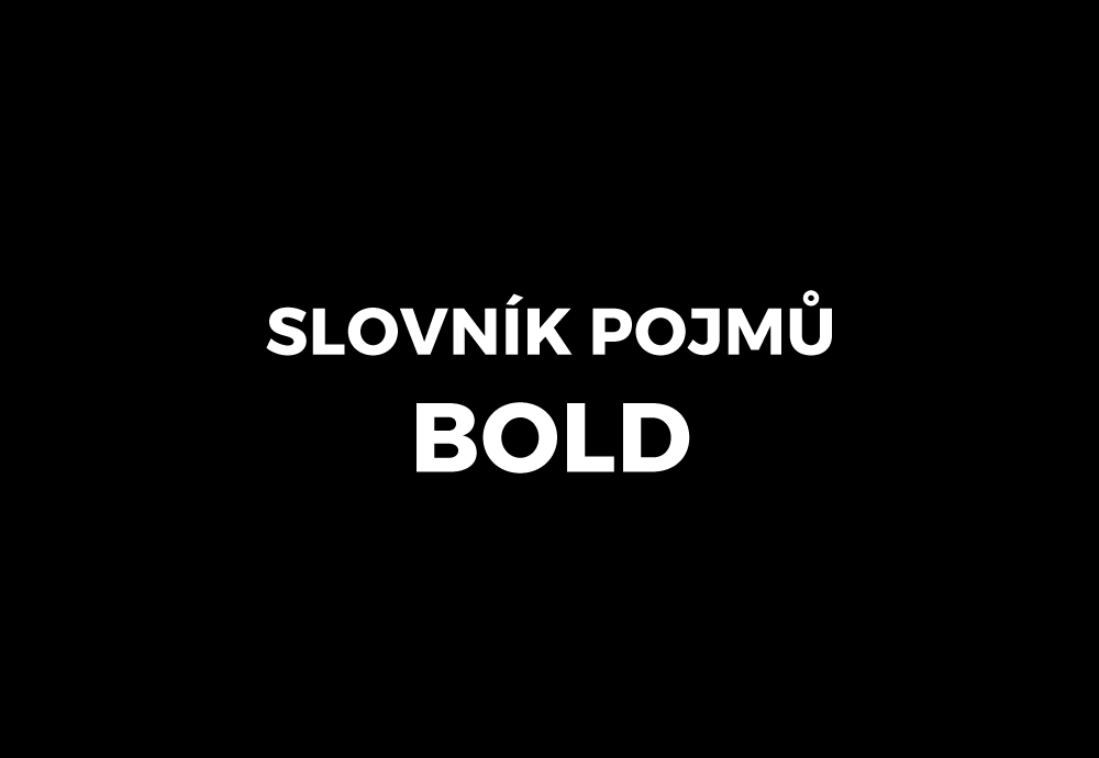 bold — slovník pojmů